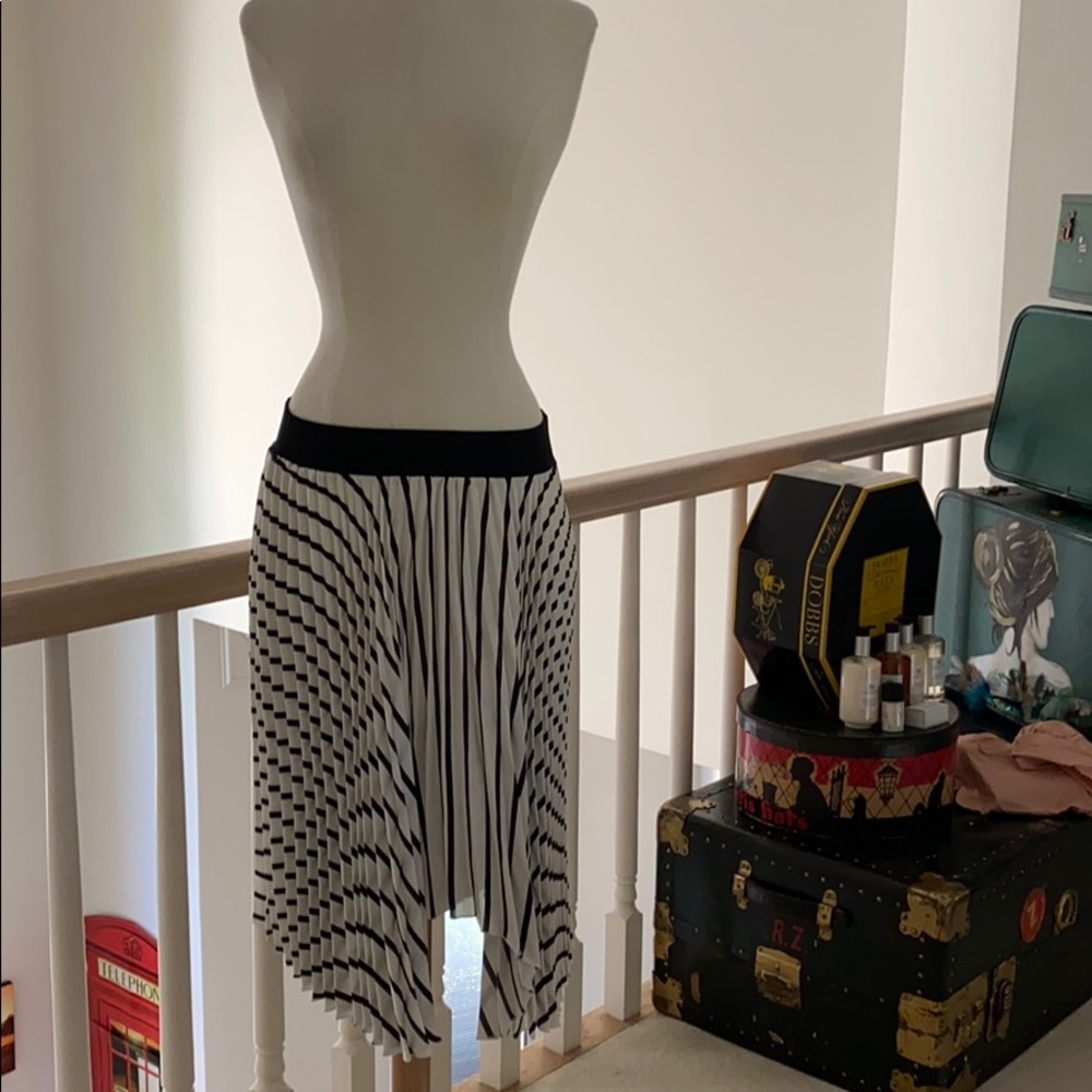 Pleaded pretty skirt